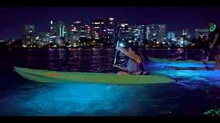 Night Kayaking in the Condado Lagoon