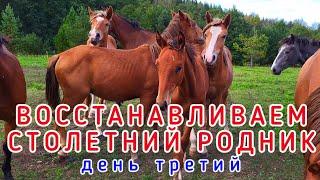 ВОССТАНОВЛЕНИЕ СТОЛЕТНЕГО РОДНИКА #родник #восстановление