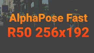 AlphaPose Fast R50 256x192