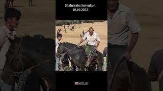 Nizomxon eshonbuva Shahrisabz Langar  #Shorts  #horse #alochi #kopkari