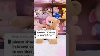 Brown Teddy Bear  Plush