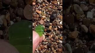 Wave delivers me green sea glass. #green #SeaGlass #beach
