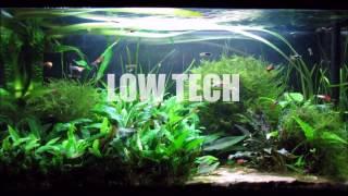 Akwarium low tech 126L / 814 dni