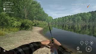 Fishing Planet - Розыгрыш DLC для Fishing Planet и розыгрыш игры The Fisherman