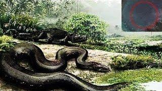 أفضل 10 أكبر أسرار الحيوان من أي وقت مضى