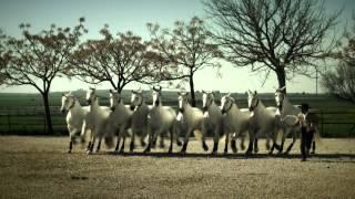 Vídeo promocional Caballos Cárdenas 2013