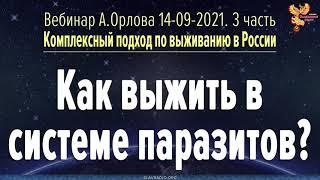 Как выжить в системе паразитизма? Алексей Орлов