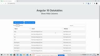 Angular 10 Datatable Show Hide Column Working Demo