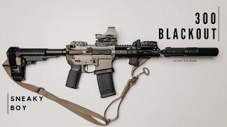 300 AAC Blackout : The Quietest Gun I Own