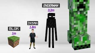 Minecraft Canlıların Boyutları