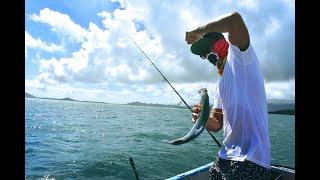 Live Stream Fishing Ben ( No Talking / ASMR )