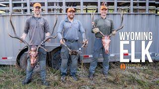 3 Bull Elk in ONE Hunt | Backcountry Reset #FreshTracks