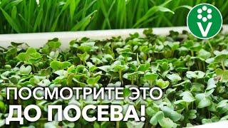 ПОЛЕЗНЫЕ ХИТРОСТИ ПРИ ПОСЕВЕ СЕМЯН! Дружные ВСХОДЫ, крепкая РАССАДА!