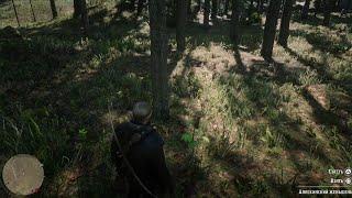 Аляскинский женьшень (alaskan ginseng) Red Dead Redemption 2