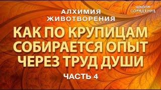 Алхимия Животворения. Труд Души Часть 4 #Гарат #школаСорадение