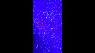 Nail glitter neon UV reactive floor