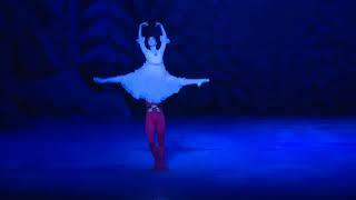 The Nutcracker - Universal Ballet 30th Anniversary Special Review