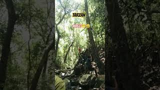 Tarzan low budget#shorts #foryou #tarzan