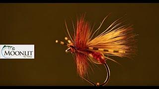 4K Fire Ant with Moonlit Fly Fishing