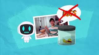 We Love Animals... and INSECTS!! - Argo's World | Diversity | STEM for Kids and Teens (Science)