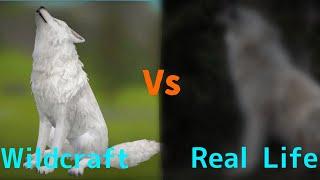 Wildcraft Skins Vs Real Life | Wildclub Skins