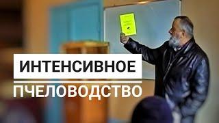 Презентация книги Интенсивное Пчеловодство Миленин М. И. (Скачать бесплатно)