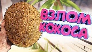 ВЗЛОМ КОКОСА??? - HAND SIMULATOR SURVIVAL (УГАР, ВЫЖИВАНИЕ, БАГИ)