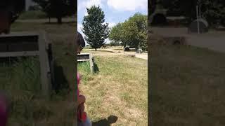 2018 - SGT Squirrel