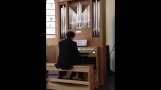 Michael König : Consoli NEW Jubile' + Roland C-330