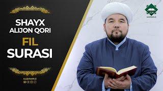 105 Fil surasi | Shayx Alijon qori