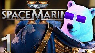 I am John Warhammer | Warhammer 40000: Space Marine 2