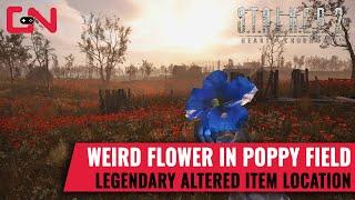 Stalker 2: Weird Flower Legendary Altered Item Location, Blue Flower in Poppy Field