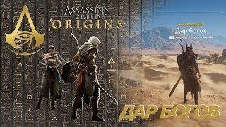 Assassins creed origins квест Дар Богов Кошмар