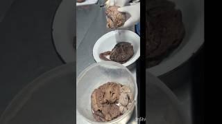 humen brain‍️#medical #medicosstuff #youtubeshorts #youtubevideos#dailyvlog#youtube #meditation