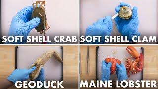 How To Open Every Shellfish | Method Mastery | Epicurious