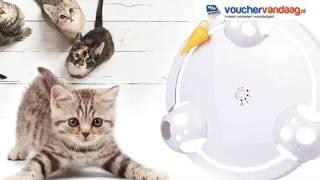 Elektronisch kattenspeeltje -  Houdt je kat bezig - Vouchervandaag