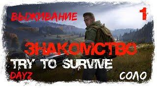 DAYZ с HillordPlay. НУБО СТРИМ И СТРАДАНИЕ В ЧЕРНОРУСИ. [RU] Try To Survive. #1