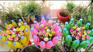 Recycling Plastic Bottles into Hanging Garden Planter Pots​| Garden TV Show
