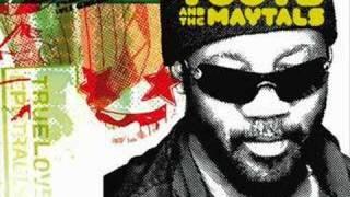 Toots and the maytals-beautiful woman