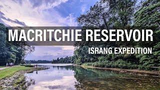 MacRitchie Reservoir | Things To Do | Singapore Adventure