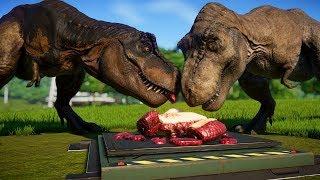 2 T Rex vs 2 Spinosaurus, 2 Indominus Rex, 2 Giganotosaurus, 2 Stegoceratops - Dinosaurs Fighting