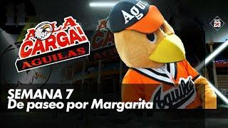 TRIUNFAZO Águilas del Zulia evita la barrida de Bravos y vuelve a la victoria A LA CARGA DIAMANTE 23