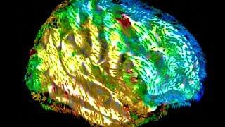 Solar Storm Psyche | From Stress to Suicide
