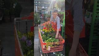 DIY Basics - Annuals vs. Perennials Explained | The Home Depot