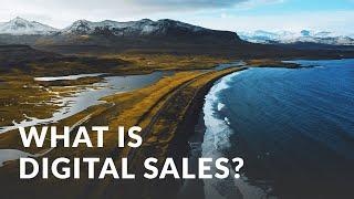 What is Digital Sales and Why Should You Care About It Right Now?