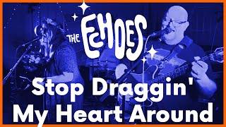 Stop Draggin' My Heart Around | The Echoes #stevienicks #tompetty #metaldad