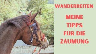 Trense, Sidepull, Halfter was nutze ich auf meinen Wanderritten? Wanderreiten Info