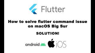 How to solve flutter command issue on macOS Big Sur (zsh: command not found: flutter) | Resolved!