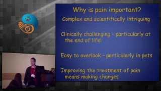 IAAHPC 2015 Excerpt - Robin Downing: Understanding "Targets" in Pain Management