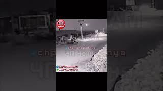 ️Удивительное видео, собака в моменте превратилась в человека…